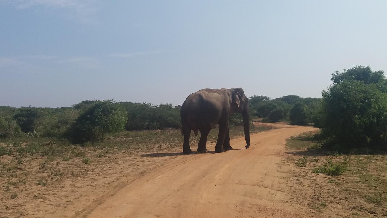 Amawin Resort Hambantota Bagian luar foto