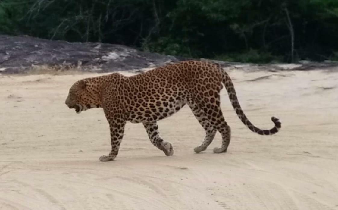 Amawin Resort Hambantota Bagian luar foto