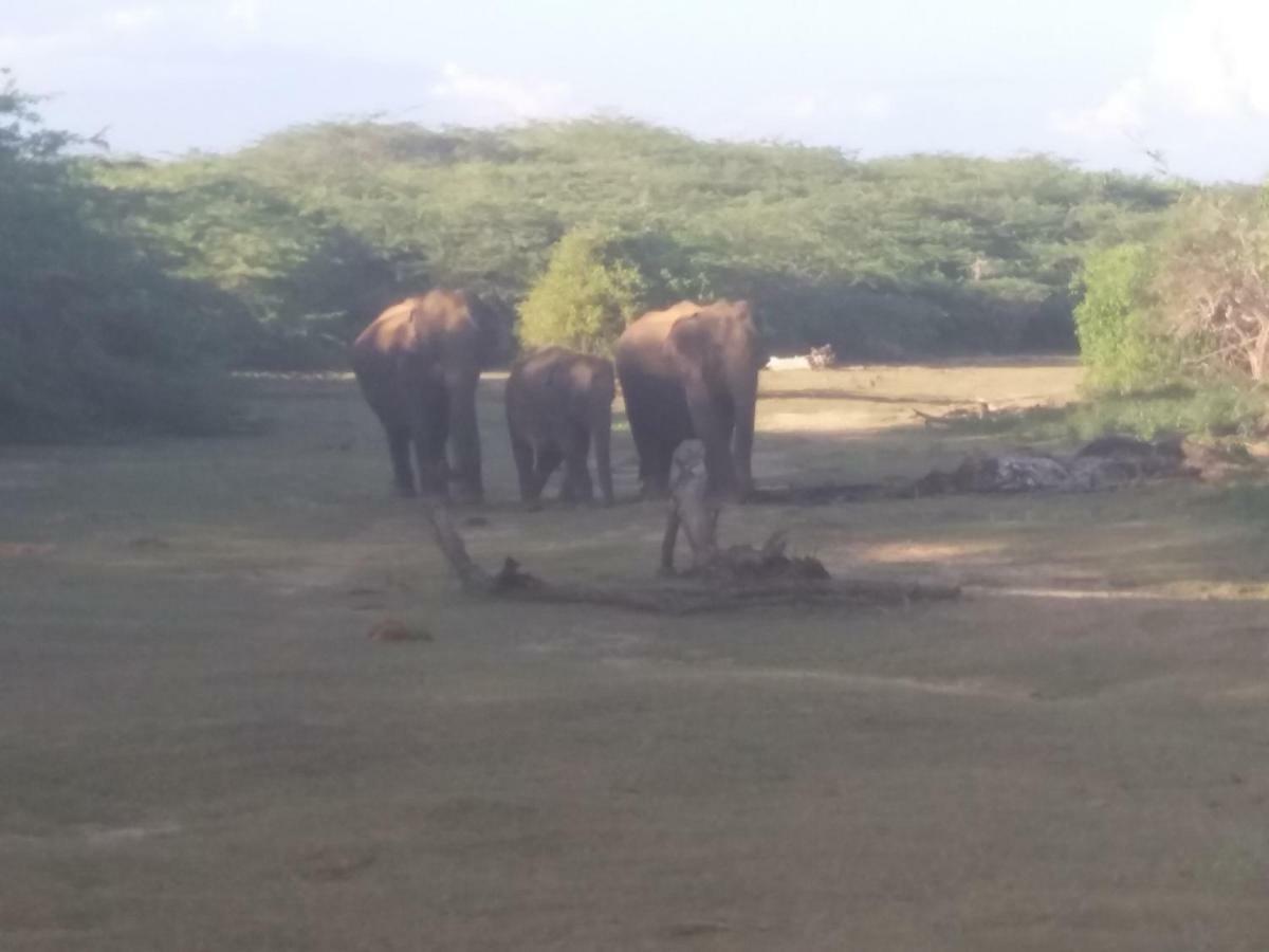 Amawin Resort Hambantota Bagian luar foto